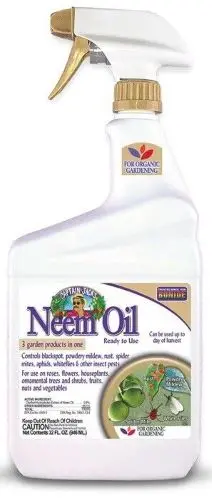 Bonide 0226 32 Oz Bottle Of Neem Oil Organic Ready To Use Fungicide Insecticide 1