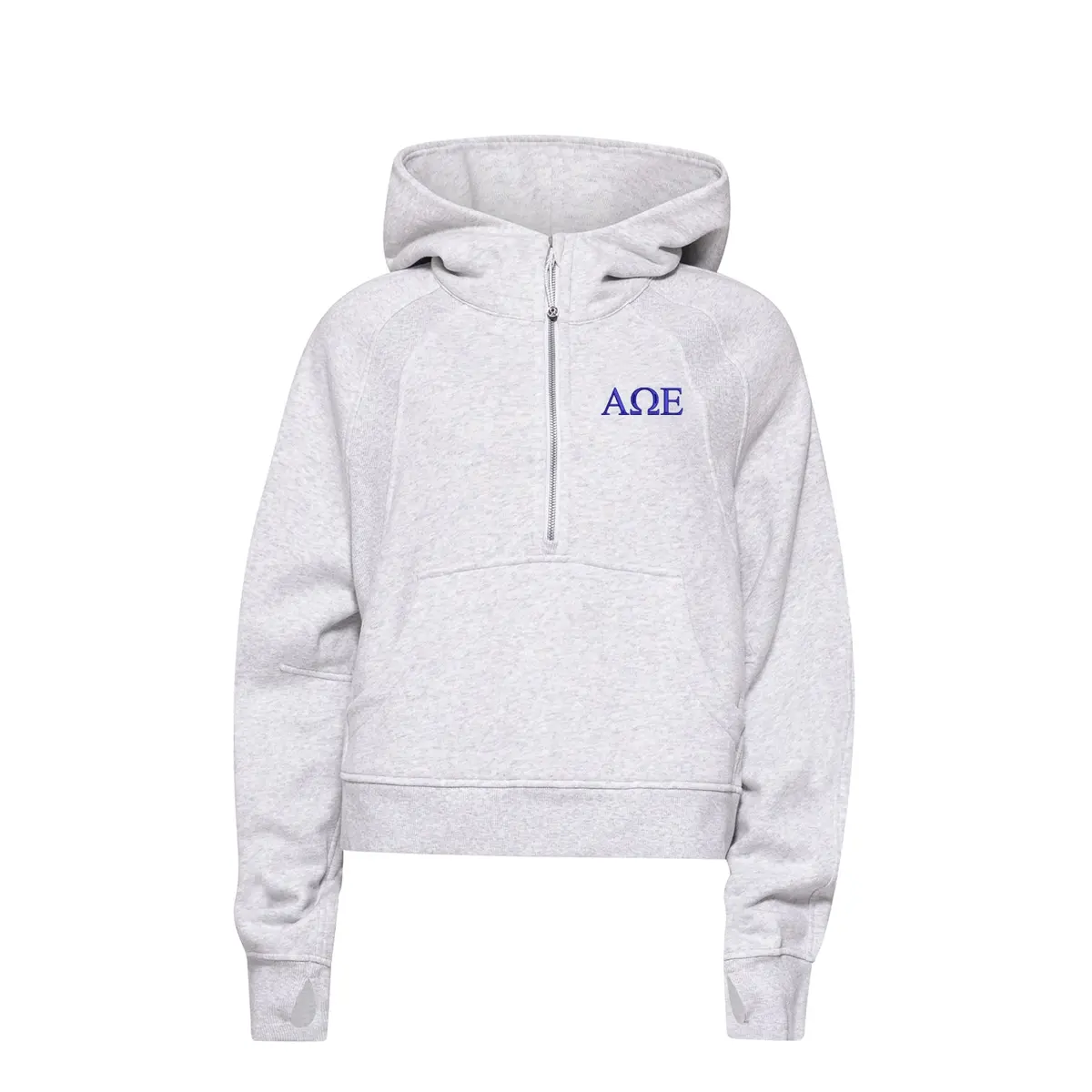 Alpha Omega Epsilon Lululemon Scuba Oversized Half-Zip Hoodie 1