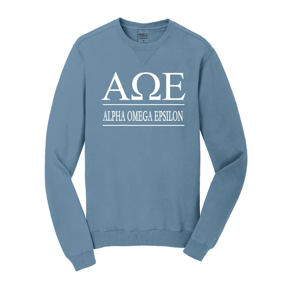 Alpha Omega Epsilon Vintage Color Crewneck Sweatshirt 1