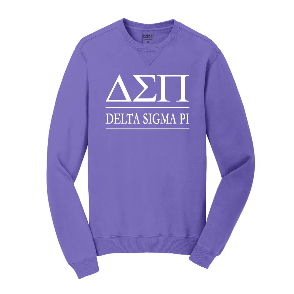 Delta Sigma Pi Beach Washed Crewneck Sweatshirt 1