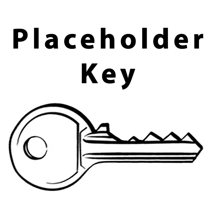 Special Order Key (2-3 Week Delay) 1